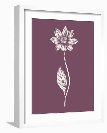 Dahlia Purple Flower-Jasmine Woods-Framed Art Print