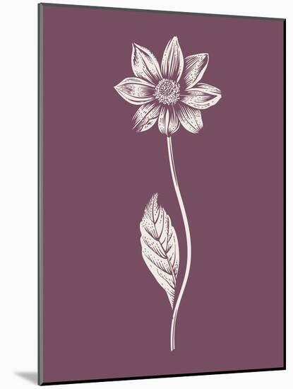 Dahlia Purple Flower-Jasmine Woods-Mounted Art Print