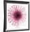 Dahlia (Raspberry)-Steven N^ Meyers-Framed Art Print