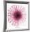 Dahlia (Raspberry)-Steven N^ Meyers-Framed Art Print