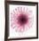 Dahlia (Raspberry)-Steven N^ Meyers-Framed Art Print