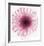 Dahlia (Raspberry)-Steven N^ Meyers-Framed Art Print