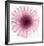 Dahlia (Raspberry)-Steven N^ Meyers-Framed Art Print