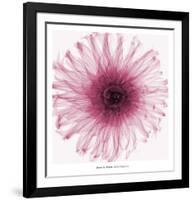 Dahlia (Raspberry)-Steven N^ Meyers-Framed Art Print