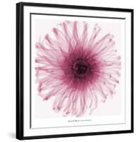 Dahlia (Raspberry)-Steven N^ Meyers-Framed Art Print