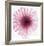 Dahlia (Raspberry)-Steven N^ Meyers-Framed Art Print