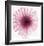 Dahlia (Raspberry)-Steven N^ Meyers-Framed Art Print