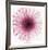 Dahlia (Raspberry)-Steven N^ Meyers-Framed Art Print