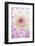 Dahlia, Sort 'April Dawn'-Herbert Kehrer-Framed Photographic Print