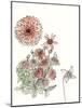 Dahlia Study-Melissa Wang-Mounted Art Print