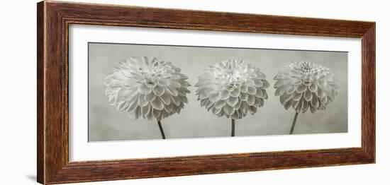 Dahlia Trio-Assaf Frank-Framed Giclee Print