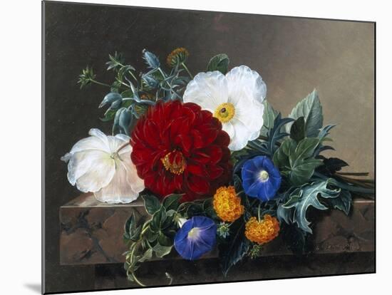 Dahlia with White Poppies, Cherianthus and Morning Glories-Johan Laurentz Jensen-Mounted Giclee Print