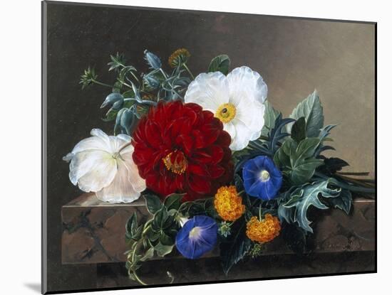 Dahlia with White Poppies, Cherianthus and Morning Glories-Johan Laurentz Jensen-Mounted Giclee Print