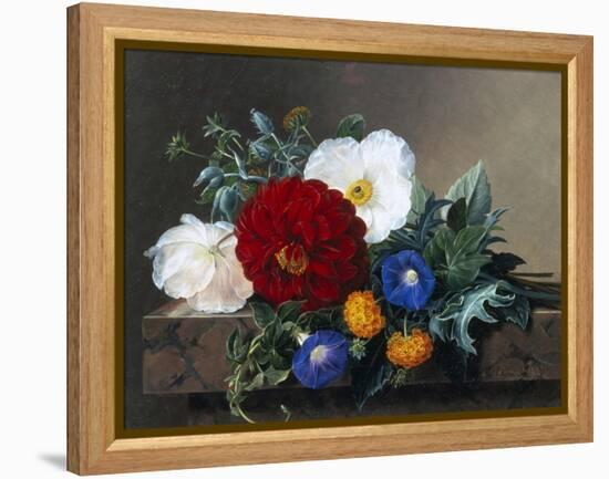 Dahlia with White Poppies, Cherianthus and Morning Glories-Johan Laurentz Jensen-Framed Premier Image Canvas