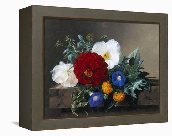 Dahlia with White Poppies, Cherianthus and Morning Glories-Johan Laurentz Jensen-Framed Premier Image Canvas