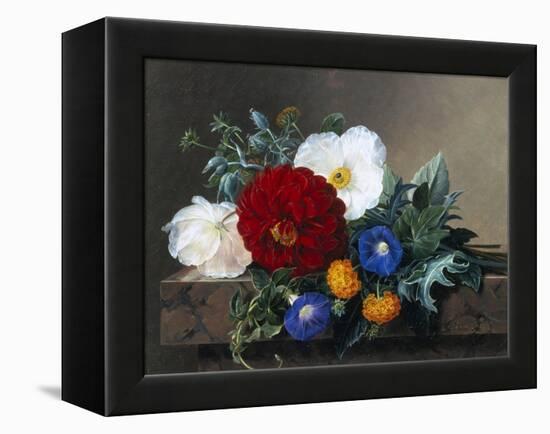 Dahlia with White Poppies, Cherianthus and Morning Glories-Johan Laurentz Jensen-Framed Premier Image Canvas