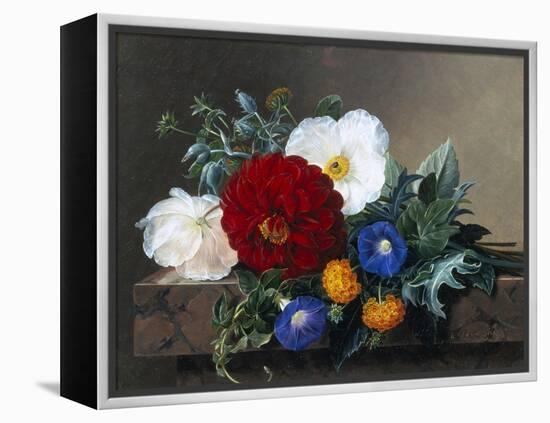 Dahlia with White Poppies, Cherianthus and Morning Glories-Johan Laurentz Jensen-Framed Premier Image Canvas