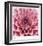 Dahlia-Ken Bremer-Framed Limited Edition