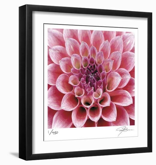 Dahlia-Ken Bremer-Framed Limited Edition