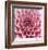 Dahlia-Ken Bremer-Framed Limited Edition