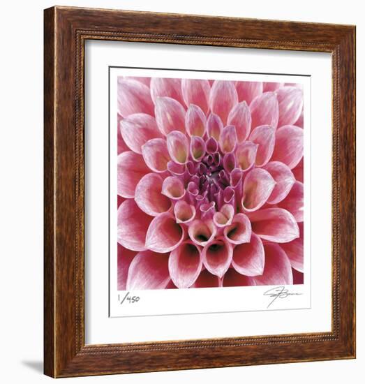 Dahlia-Ken Bremer-Framed Limited Edition