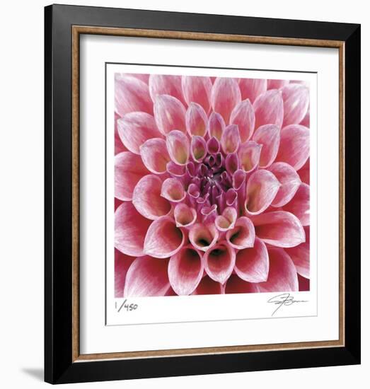 Dahlia-Ken Bremer-Framed Limited Edition