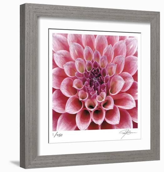 Dahlia-Ken Bremer-Framed Limited Edition