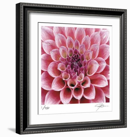 Dahlia-Ken Bremer-Framed Limited Edition