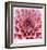 Dahlia-Ken Bremer-Framed Limited Edition