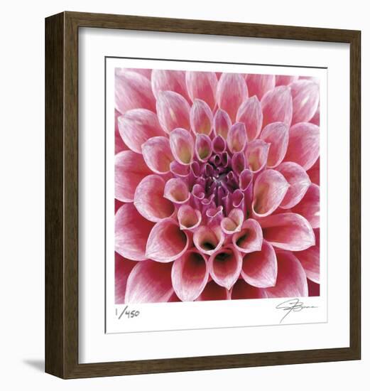 Dahlia-Ken Bremer-Framed Limited Edition