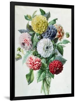 Dahlia-Marie-Anne-Framed Giclee Print