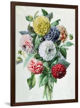Dahlia-Marie-Anne-Framed Giclee Print