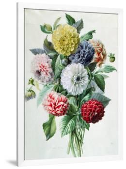 Dahlia-Marie-Anne-Framed Giclee Print