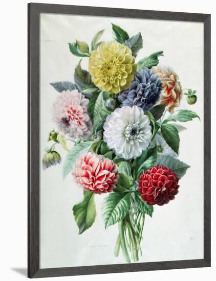 Dahlia-Marie-Anne-Framed Giclee Print