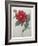 Dahlia-Pierre-Joseph Redoute-Framed Art Print