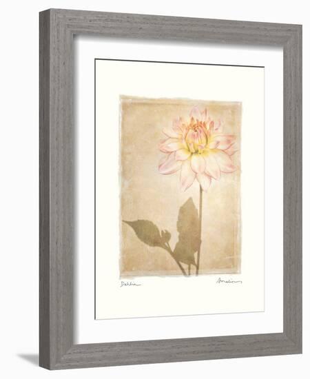 Dahlia-Amy Melious-Framed Art Print