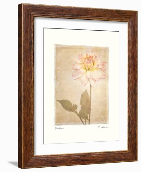 Dahlia-Amy Melious-Framed Art Print