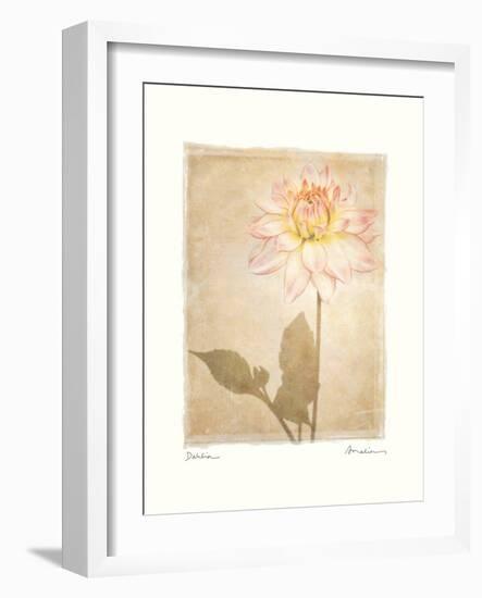 Dahlia-Amy Melious-Framed Art Print