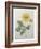 Dahlia-Pierre-Joseph Redoute-Framed Art Print