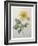 Dahlia-Pierre-Joseph Redoute-Framed Art Print