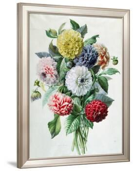 Dahlia-Marie-Anne-Framed Giclee Print