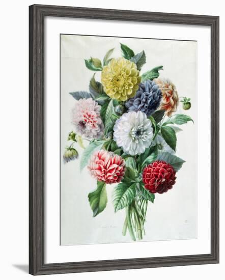 Dahlia-Marie-Anne-Framed Giclee Print