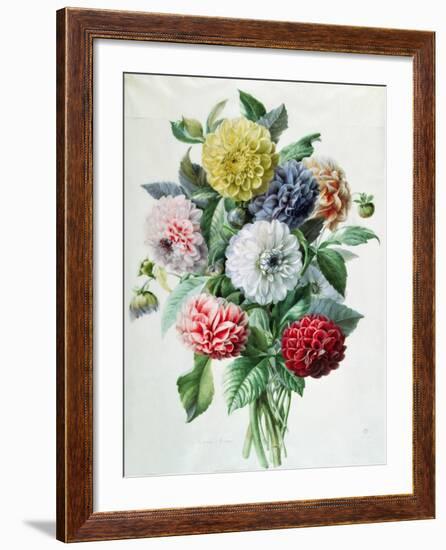 Dahlia-Marie-Anne-Framed Giclee Print