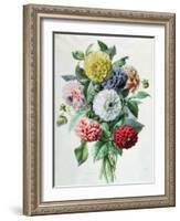 Dahlia-Marie-Anne-Framed Giclee Print
