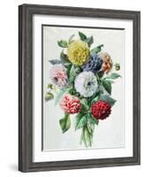 Dahlia-Marie-Anne-Framed Giclee Print