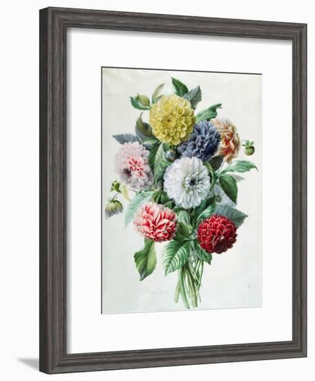 Dahlia-Marie-Anne-Framed Giclee Print