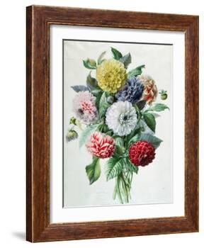 Dahlia-Marie-Anne-Framed Giclee Print