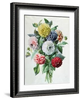 Dahlia-Marie-Anne-Framed Giclee Print