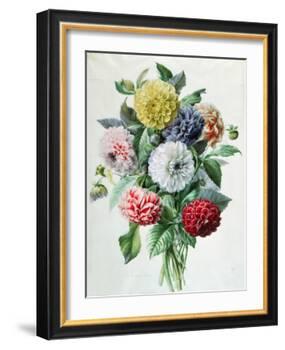 Dahlia-Marie-Anne-Framed Giclee Print