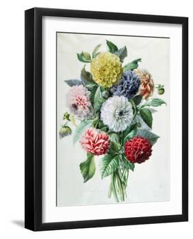 Dahlia-Marie-Anne-Framed Giclee Print